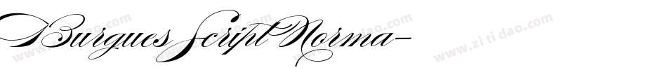 Burgues Script Norma字体转换